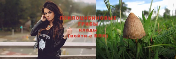 крисы Арсеньев