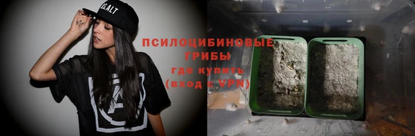 винт Армянск