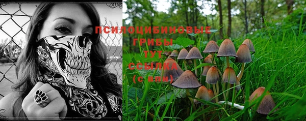 винт Армянск