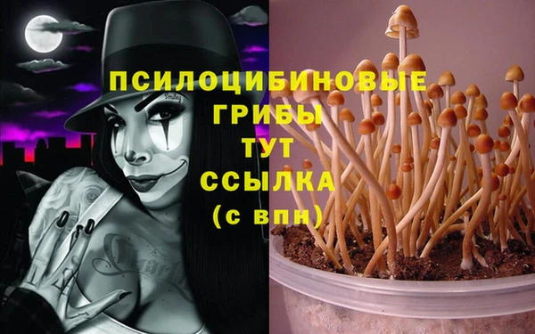 винт Армянск