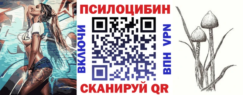 купить   Свирск  кракен вход  Псилоцибиновые грибы MAGIC MUSHROOMS 